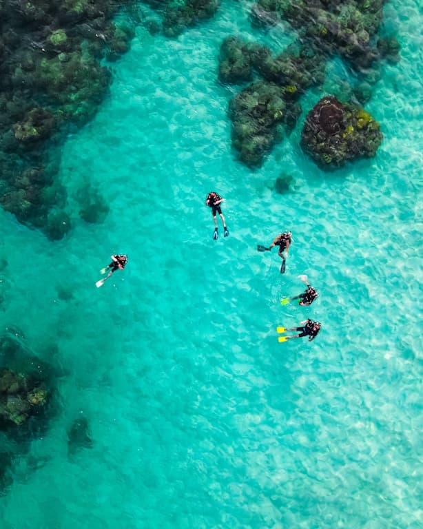 Snorkelling